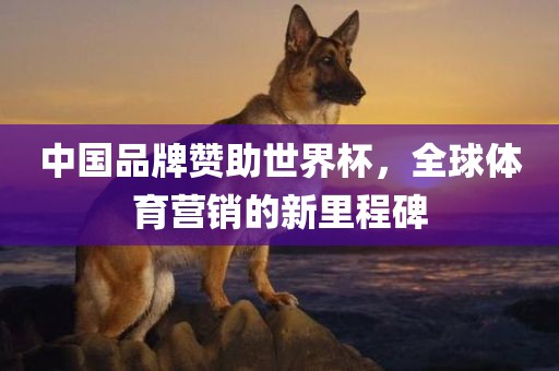 中国品牌赞助世界杯，漯河市盈旭机械设备有限公司全球体育营销的新里程碑