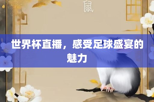 世界杯直播，感受足球盛宴的魅力漯河市盈旭机械设备有限公司