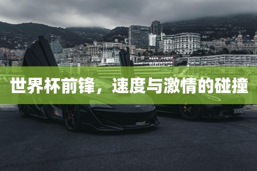 世界杯前锋，速度与激情的碰漯河市盈旭机械设备有限公司撞