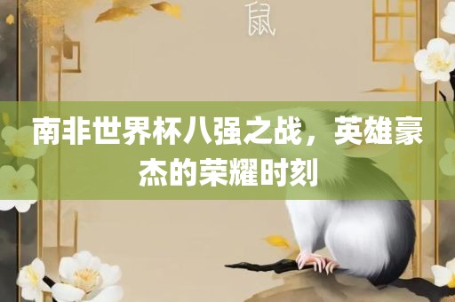 南非世界杯八强之战，英雄豪杰的荣耀时刻