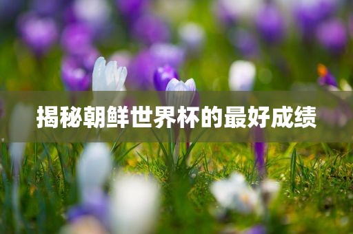 揭秘朝鲜世界杯的最好成绩