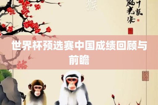 世界杯预选赛中国成绩回顾与前瞻漯河市盈旭机械设备有限公司