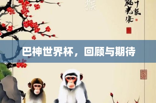 巴神世界杯，回顾与期待