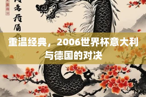 重温经典，2006世界杯意大利与德国的对决漯河市盈旭机械设备有限公司