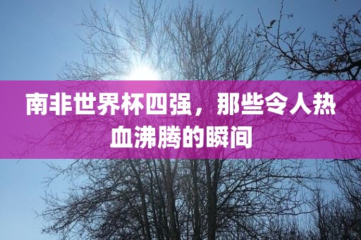 南非世界杯四强，那些令人热血沸腾的瞬间漯河市盈旭机械设备有限公司