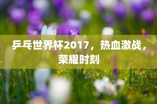 乒乓世界杯2017，热血激战，荣耀时刻漯河市盈旭机械设备有限公司