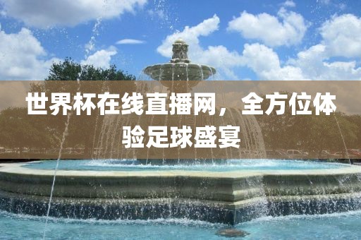 世界杯在线直播网，全方位体验足球盛宴
