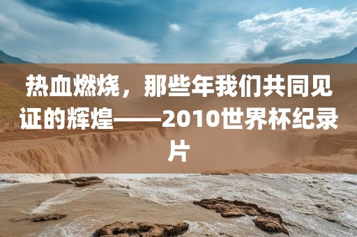 热血燃烧，那些年我们共同见证的辉煌——2010世界杯纪录片