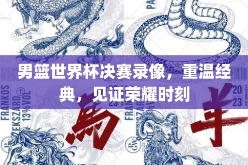 男篮世界杯决赛录像，重温经典，见证荣耀时刻漯河市盈旭机械设备有限公司
