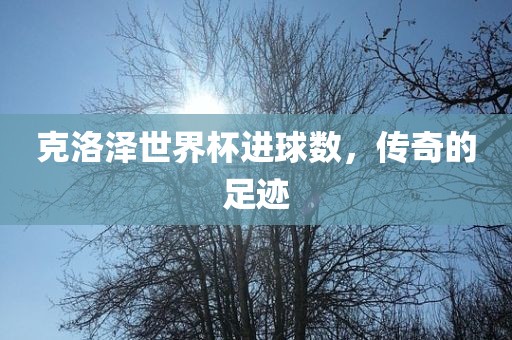 克洛泽世界杯进球数，传奇的足迹