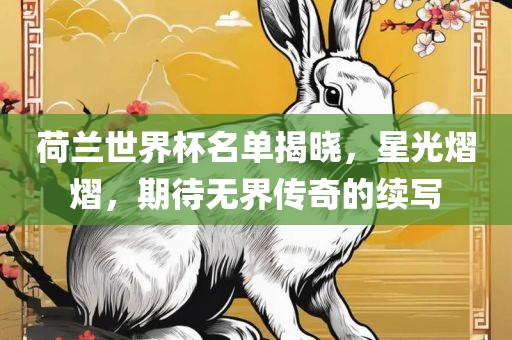 荷兰世界杯名单揭晓，星光熠熠，期待无界传奇的续写