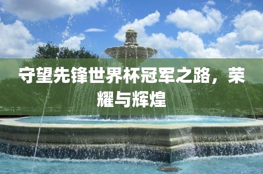 守望先锋世界杯冠军之路，荣耀与辉煌