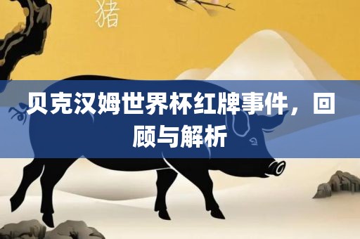 贝克汉姆世界杯红牌事件，回顾与解析