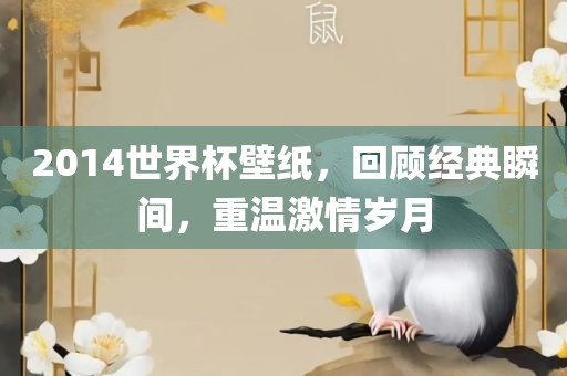 2014世界杯壁纸，回顾经典瞬间，重温激情岁月