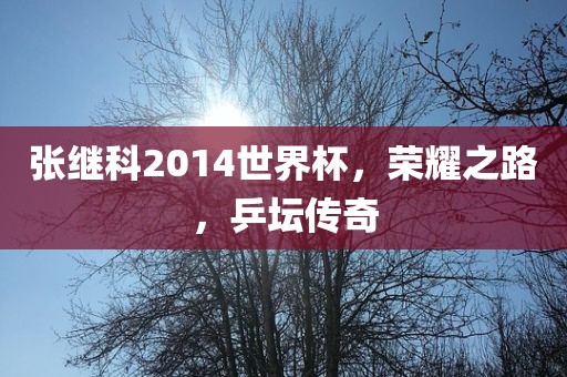 张继科2014世界杯，荣耀之路，乒坛传奇