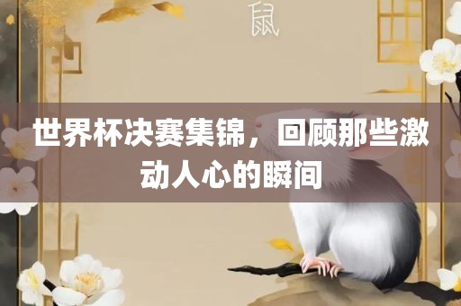 世界杯决赛集锦，回顾那些激动人心的瞬间