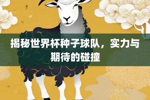 揭秘世界杯种子球队，实力与期待的碰撞