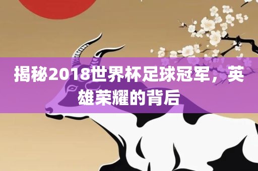 揭秘2018世界杯足球冠军，英雄荣耀的背后