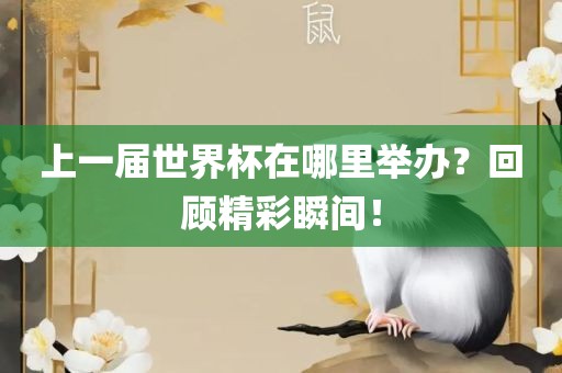 上一届世界杯在哪里举办？回顾精彩瞬间！