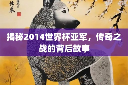 揭秘2014世界杯亚军，传奇之战的背后故事