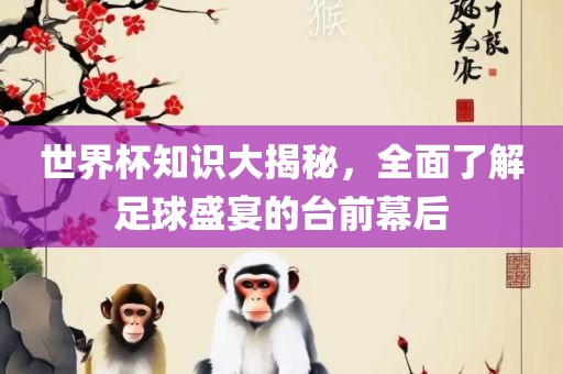 世界杯知识大揭秘，全面了解足球盛宴的台前幕后漯河市盈旭机械设备有限公司