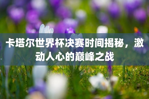 卡塔尔世界杯决赛时间揭秘，激动人心的巅峰之战漯河市盈旭机械设备有限公司