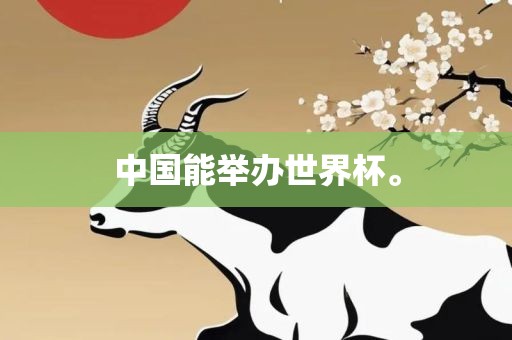 中国能举办世界杯。