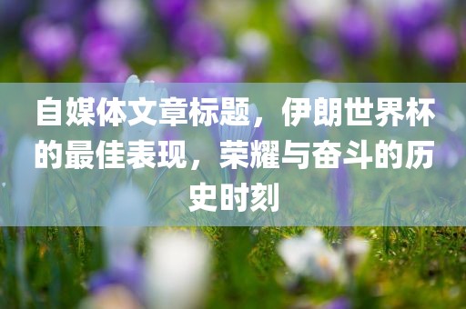 自媒体文章标题，伊朗世界杯的最佳表现，荣耀与奋斗的历史时刻
