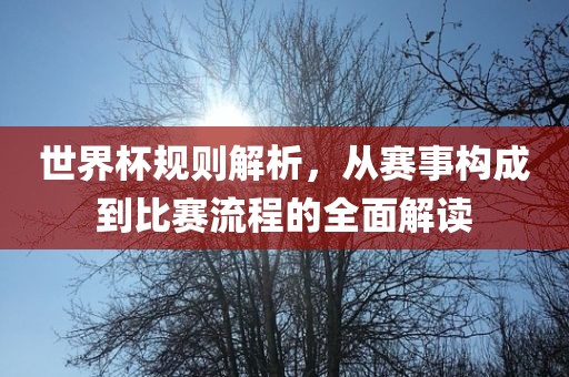 世界杯规则解析，从赛事构成到比赛流程的全面解读