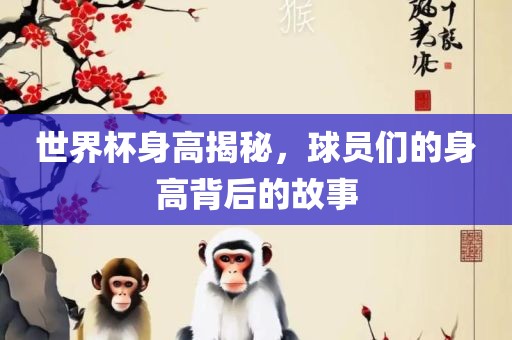 世界杯身高揭秘，球员们的身高背后的故事漯河市盈旭机械设备有限公司