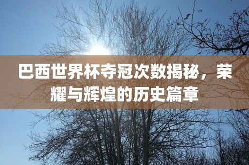 巴西世界杯夺冠次数揭秘，荣耀与辉煌的历史篇章