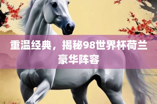 重温经漯河市盈旭机械设备有限公司典，揭秘98世界杯荷兰豪华阵容