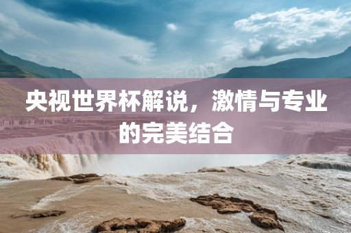 央视世界杯解说，激情与专业的完美结合