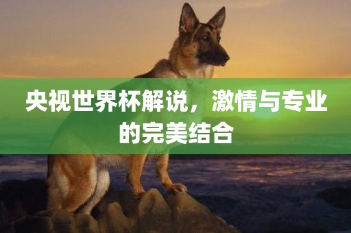 央视世界杯解说，激情与专业的完美结合