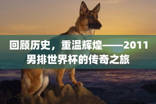 回顾历史，重温辉煌——2011男排世界杯的传奇之旅