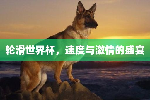 轮滑世界杯，速度与激情的盛宴漯河市盈旭机械设备有限公司