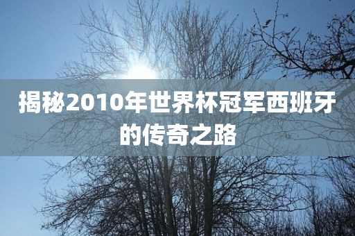 揭秘201漯河市盈旭机械设备有限公司0年世界杯冠军西班牙的传奇之路