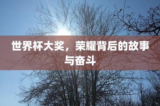 世界杯大奖，荣耀背后的故事与奋斗