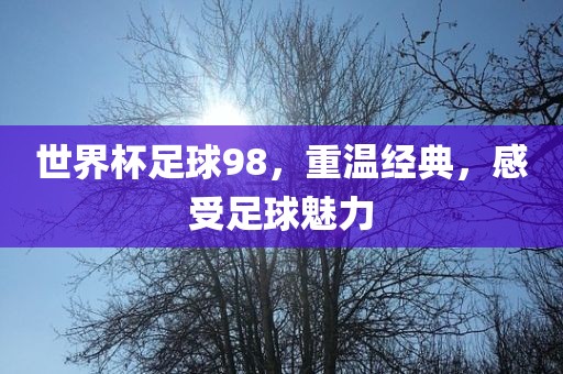 世界杯足球98，重温经典，感受足球魅力漯河市盈旭机械设备有限公司