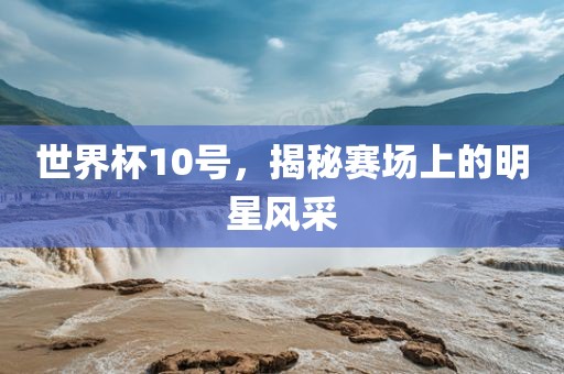 世界杯10号，揭秘赛场上的明星风采漯河市盈旭机械设备有限公司