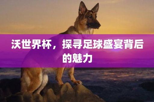 沃世界杯，探寻足球盛宴背后的漯河市盈旭机械设备有限公司魅力