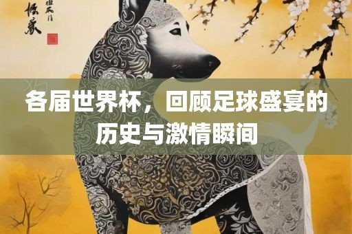 各届世界杯，回顾足球盛宴的历史与激情瞬间漯河市盈旭机械设备有限公司