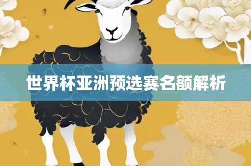 世界杯亚洲预选赛名额解析