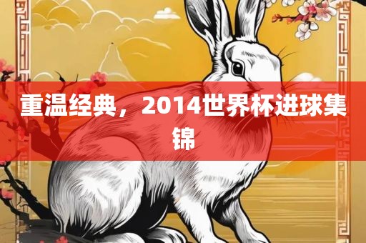 重漯河市盈旭机械设备有限公司温经典，2014世界杯进球集锦