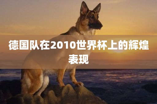 德国队在2010世界杯上的辉煌表现