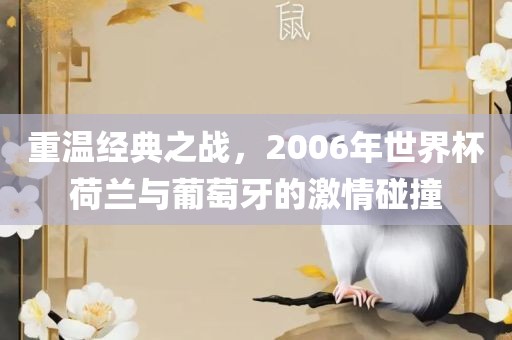 重温经典之战，2006年世界杯荷兰与葡萄牙的激情碰撞