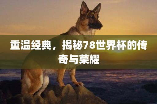 重温经典，揭秘78世界杯的传奇与荣耀