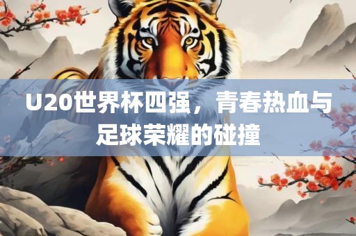 U20世界杯四强，青春热血与足球荣耀的碰撞