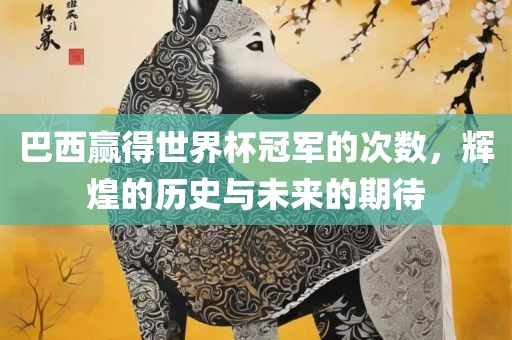 巴西赢得世界杯冠军的次数，辉煌的历史与未来的期待漯河市盈旭机械设备有限公司