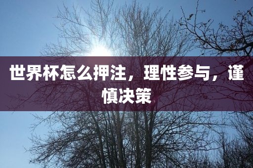 世界杯怎么押注，理性参与，谨慎决策漯河市盈旭机械设备有限公司